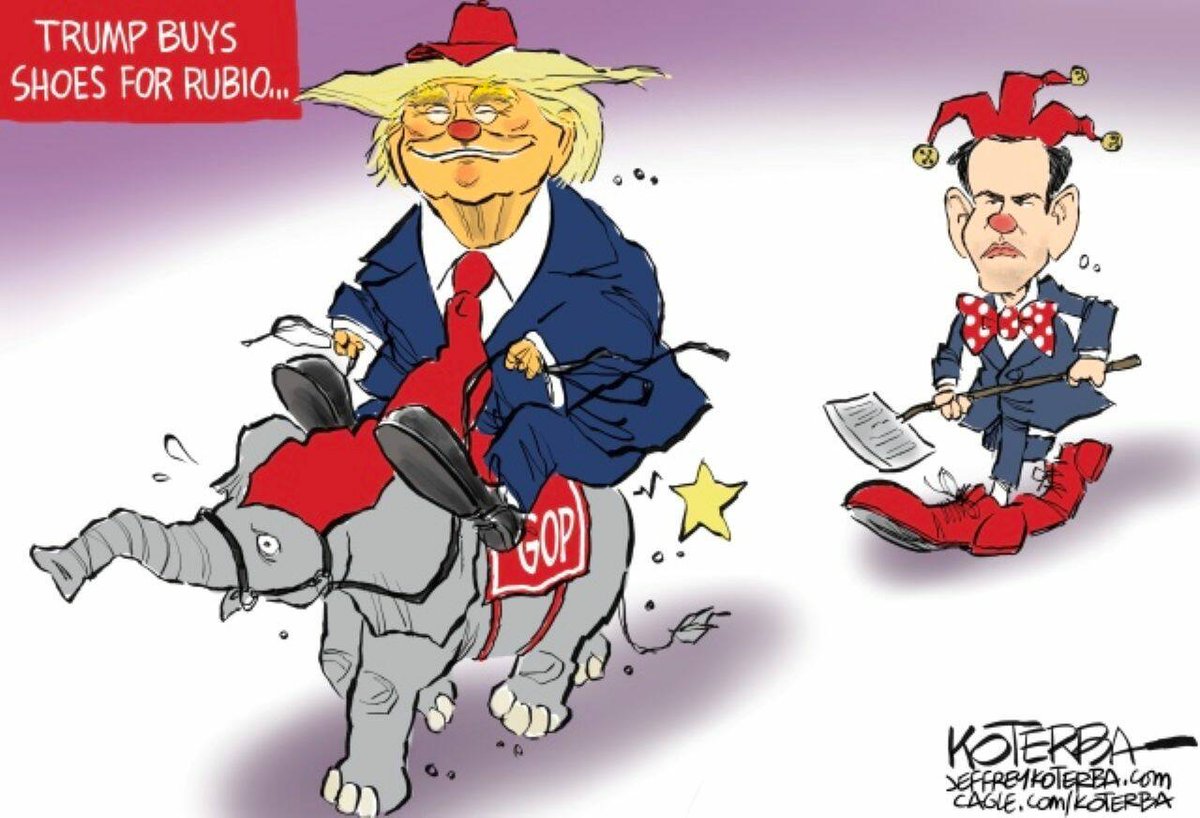 A Blue View 🇺🇸🇨🇦🇲🇽🇪🇺🇺🇦 tweet media