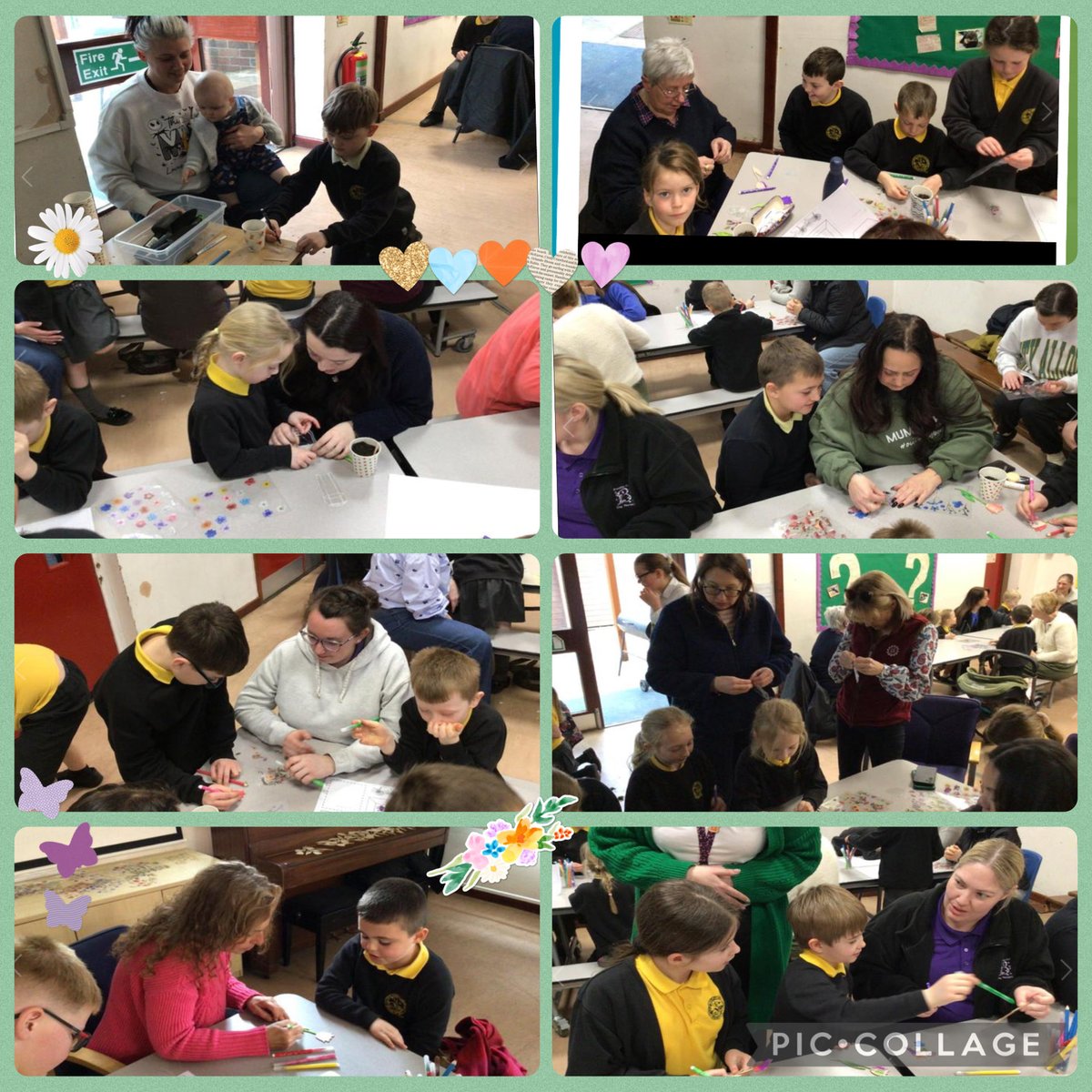 Quadring Primary tweet media