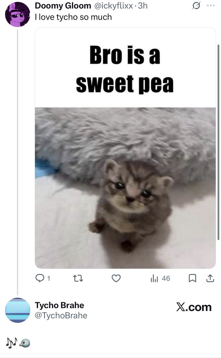 Doomy Gloom tweet media