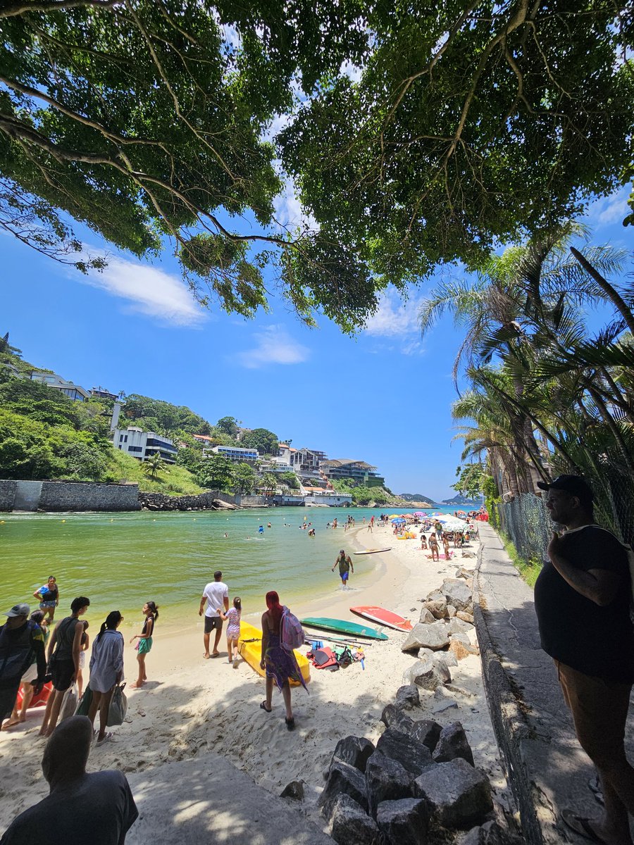 alanis do setor tweet media