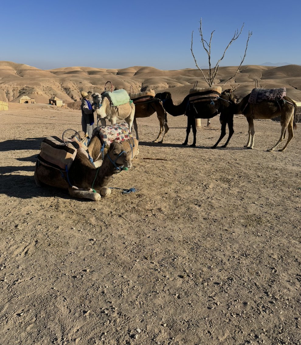 That Pot8toe tweet media