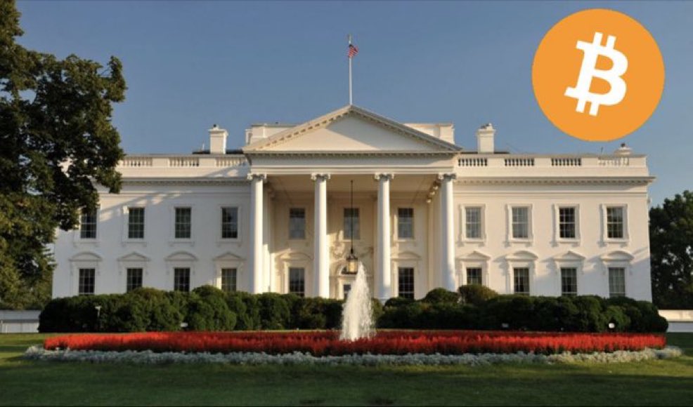 Michael Hanna tweet media