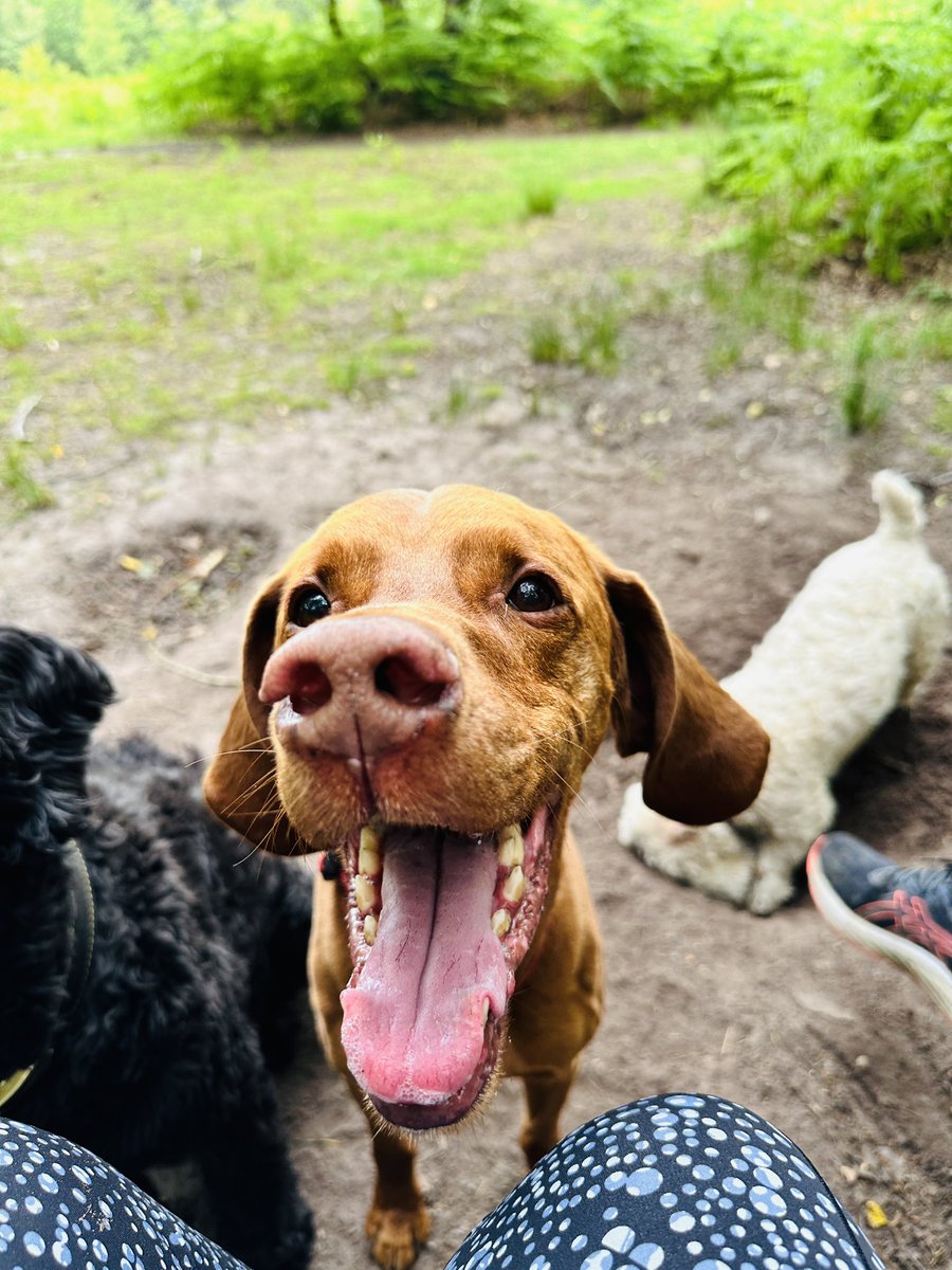 Twiz 💙 tweet media