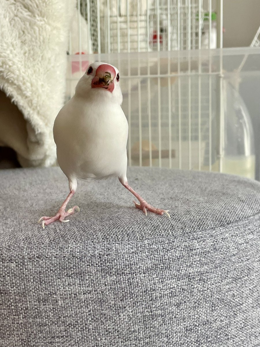 よんちゃ tweet media