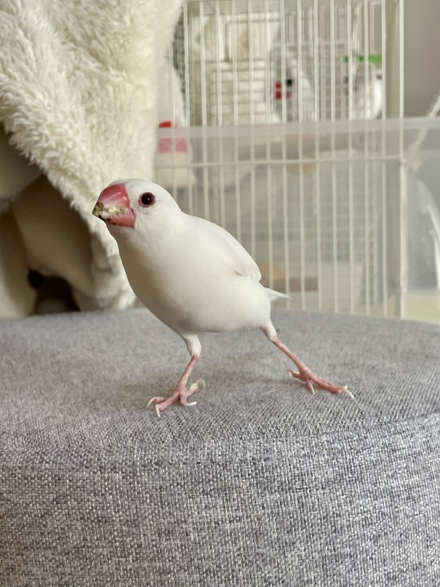 よんちゃ tweet media