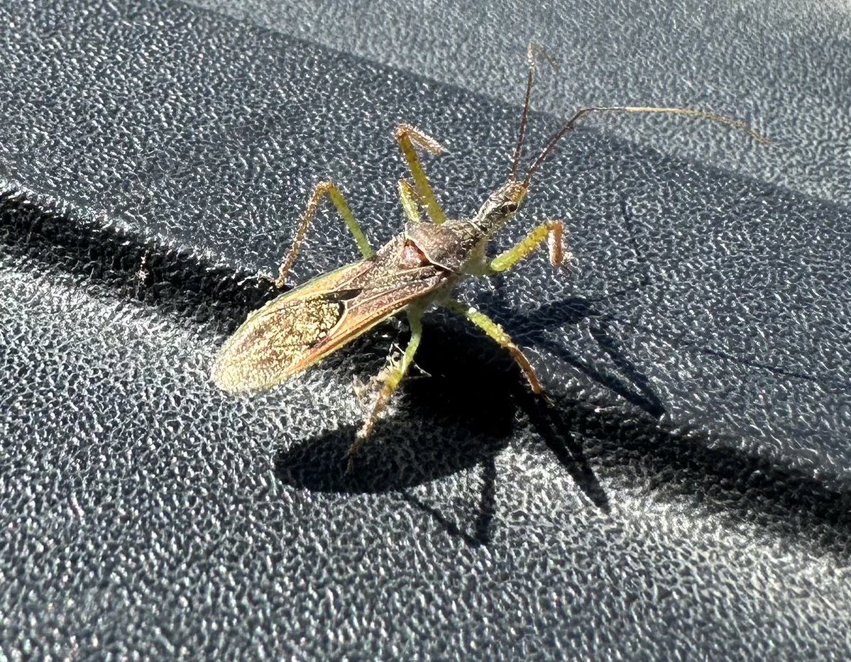 Dad Of Ypres tweet media