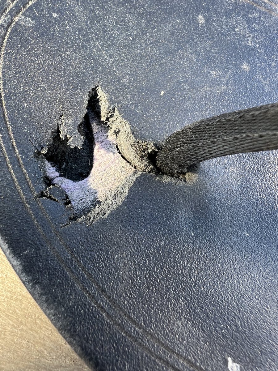 Jen 🇺🇸 tweet media