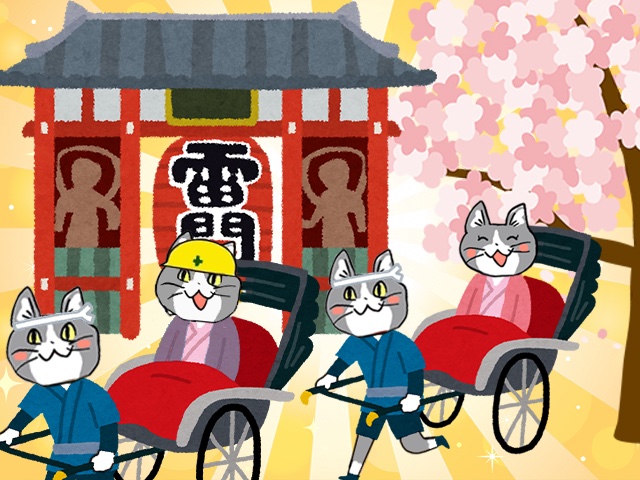 ももぞぅ tweet media