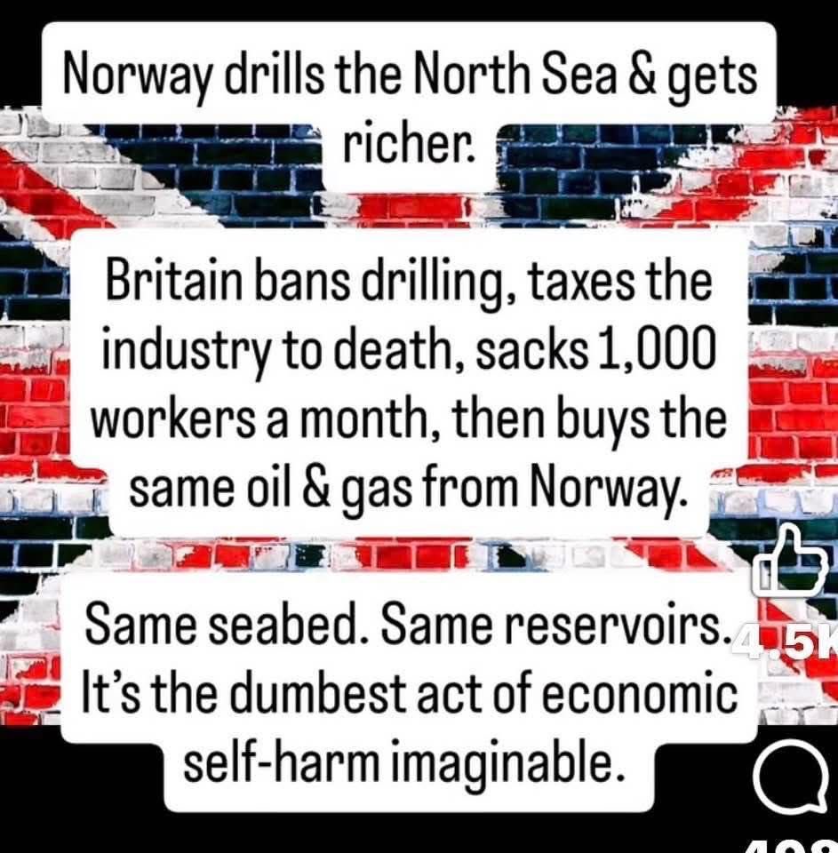 Swif’ Nick 🏍💨 tweet media