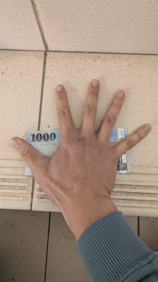 野生動物 tweet media