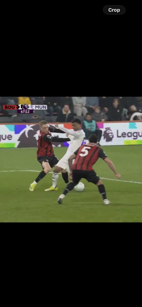 FPL Dynamo tweet media