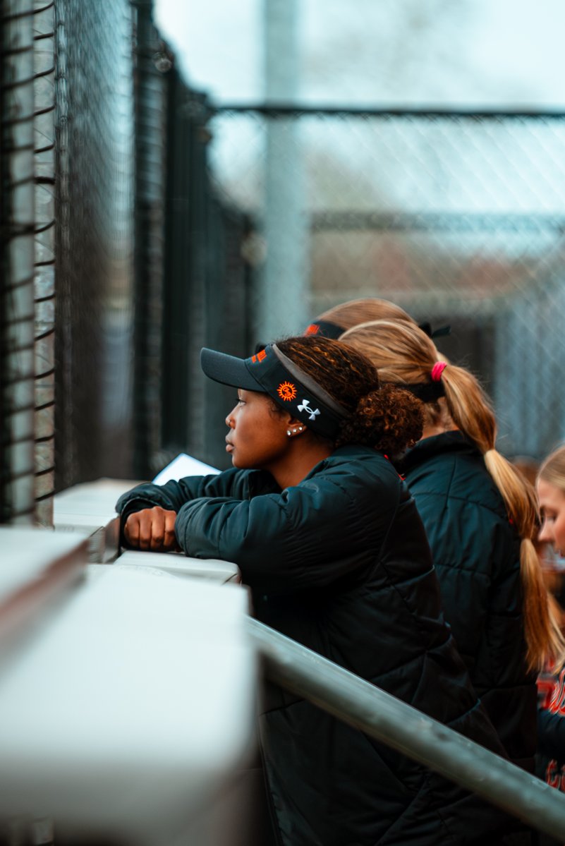 Campbell Softball tweet media