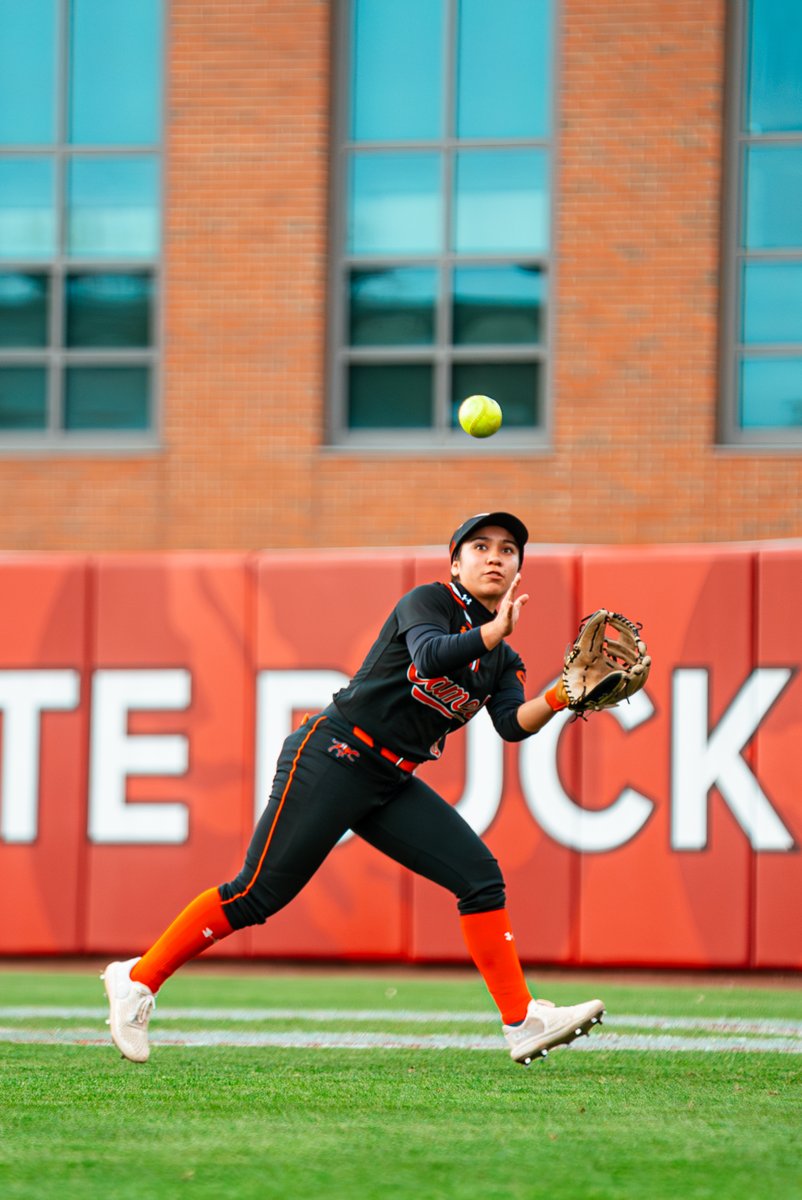 Campbell Softball tweet media