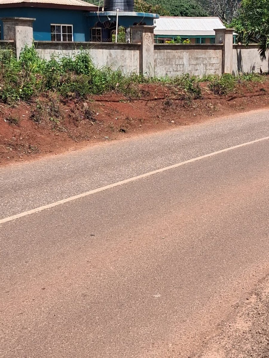 Trisha K Williams-Singh tweet media