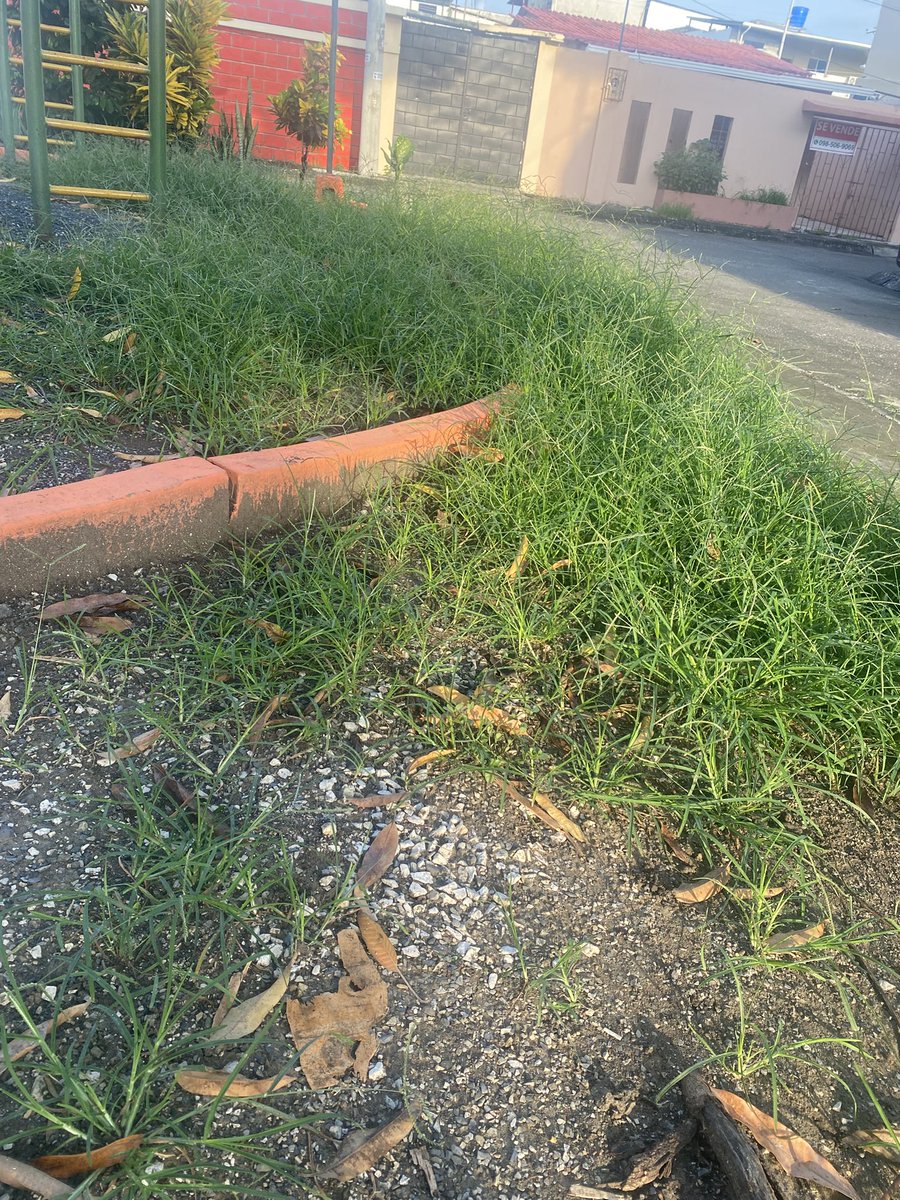 Byron Soriano tweet media