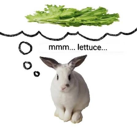 theforge129 🇺🇦 🇵🇸 tweet media