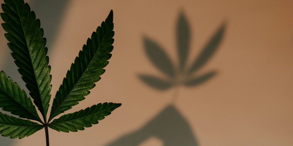 Tax Notes tweet media