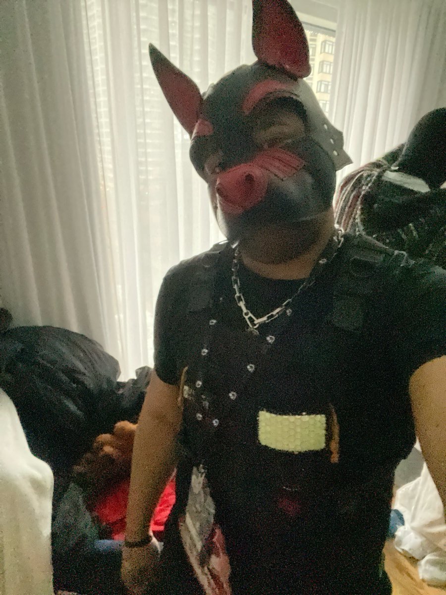 Armouredpup's tweet photo. Here for trouble.. https://t.co/bMj0r7SRrD
