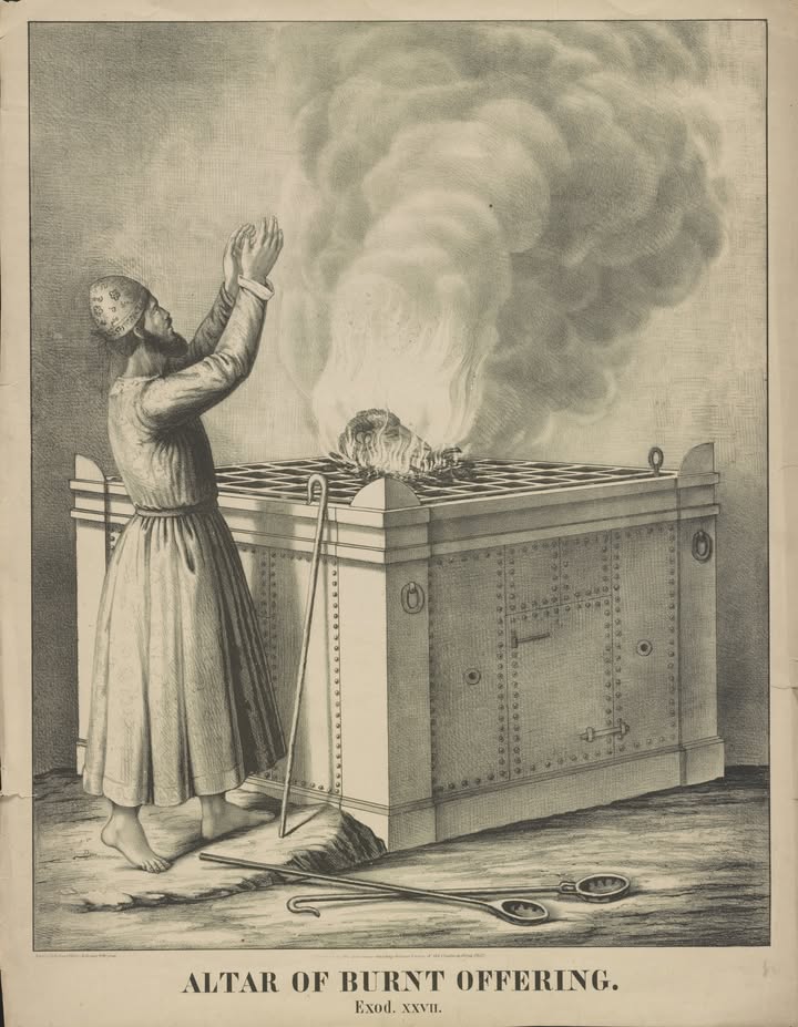 hillsdaleonline's tweet image. 40 DAYS OF EXODUS | We've reached Day 27 of our Exodus challenge. Read Chapter 27 today.

How does the command to use pure, pressed olive oil for the lamps symbolize the purity and quality of our devotion to God?

#ExodusAdventure #BibleChallenge #Day27