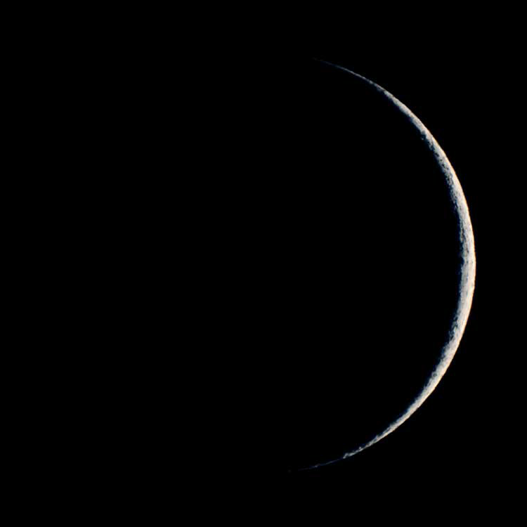 My Moon Phase tweet media