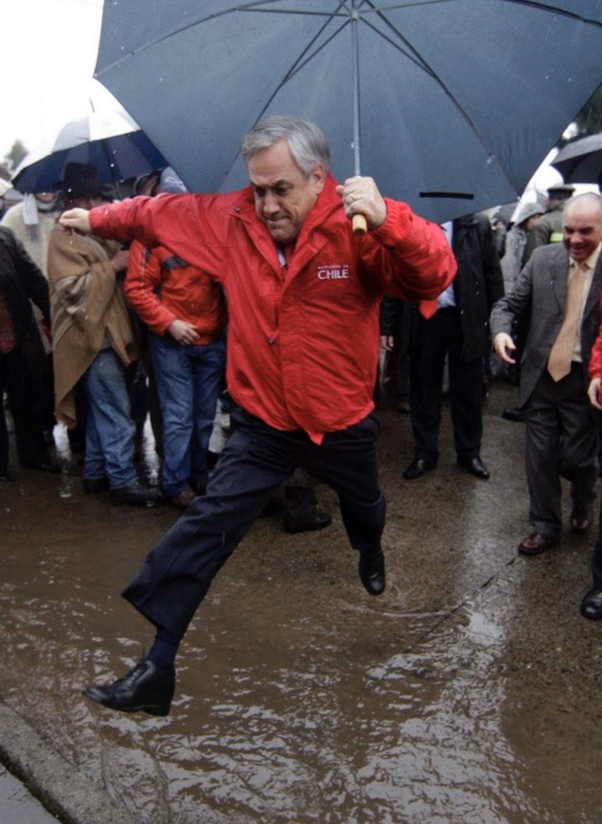 claudia undurraga tweet media