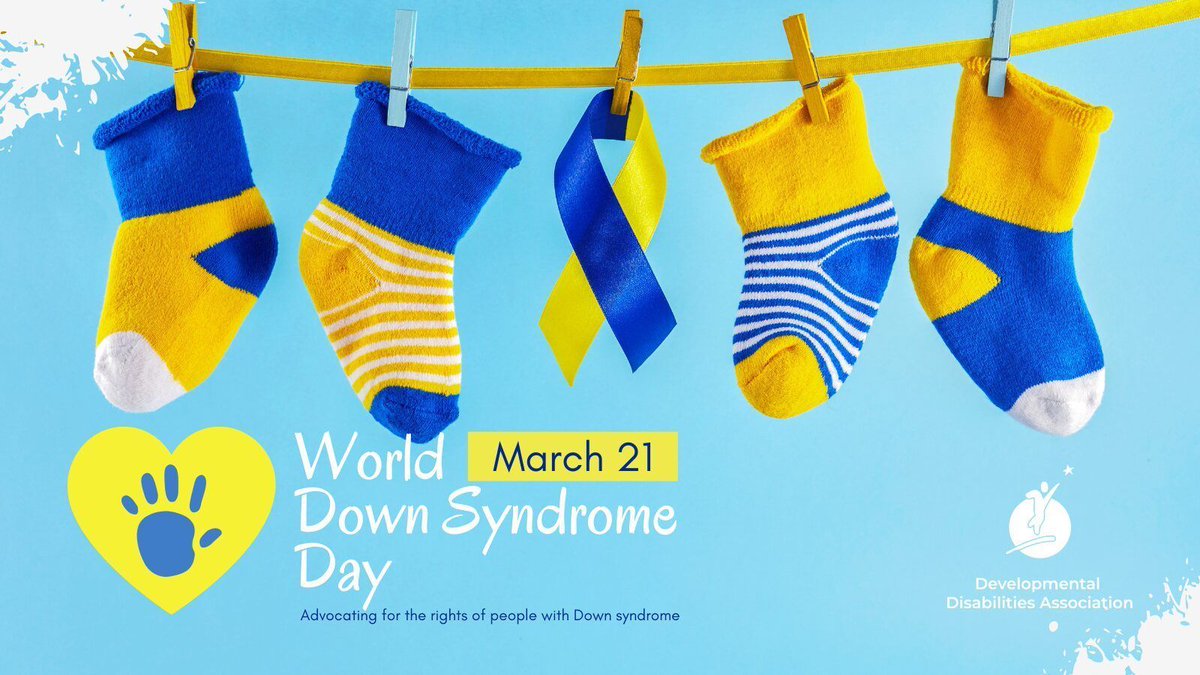 dda604 🇨🇦 tweet media