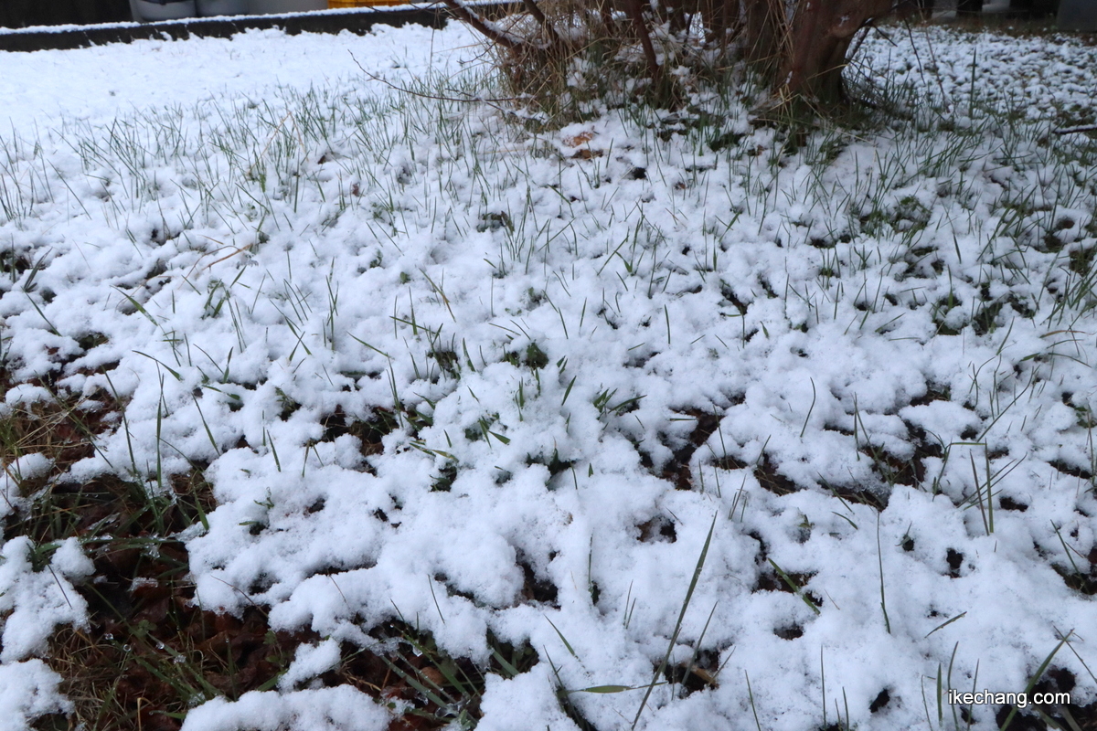 天童市の観光ガイド tweet media