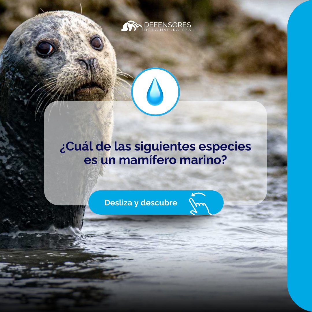 Defensores de la Naturaleza tweet media