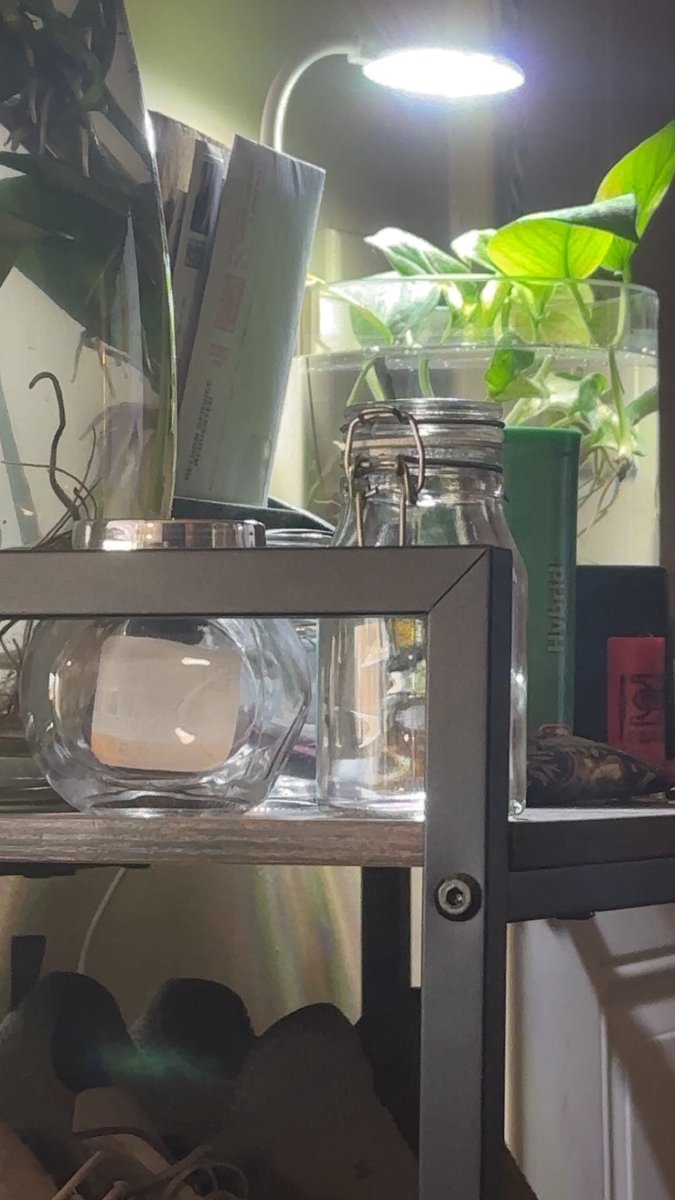 ✨Red Queen Brat | FINDOM✨ tweet media