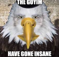 The REAL Gold Ship tweet media