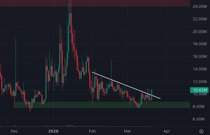 Stef 🪄 tweet media