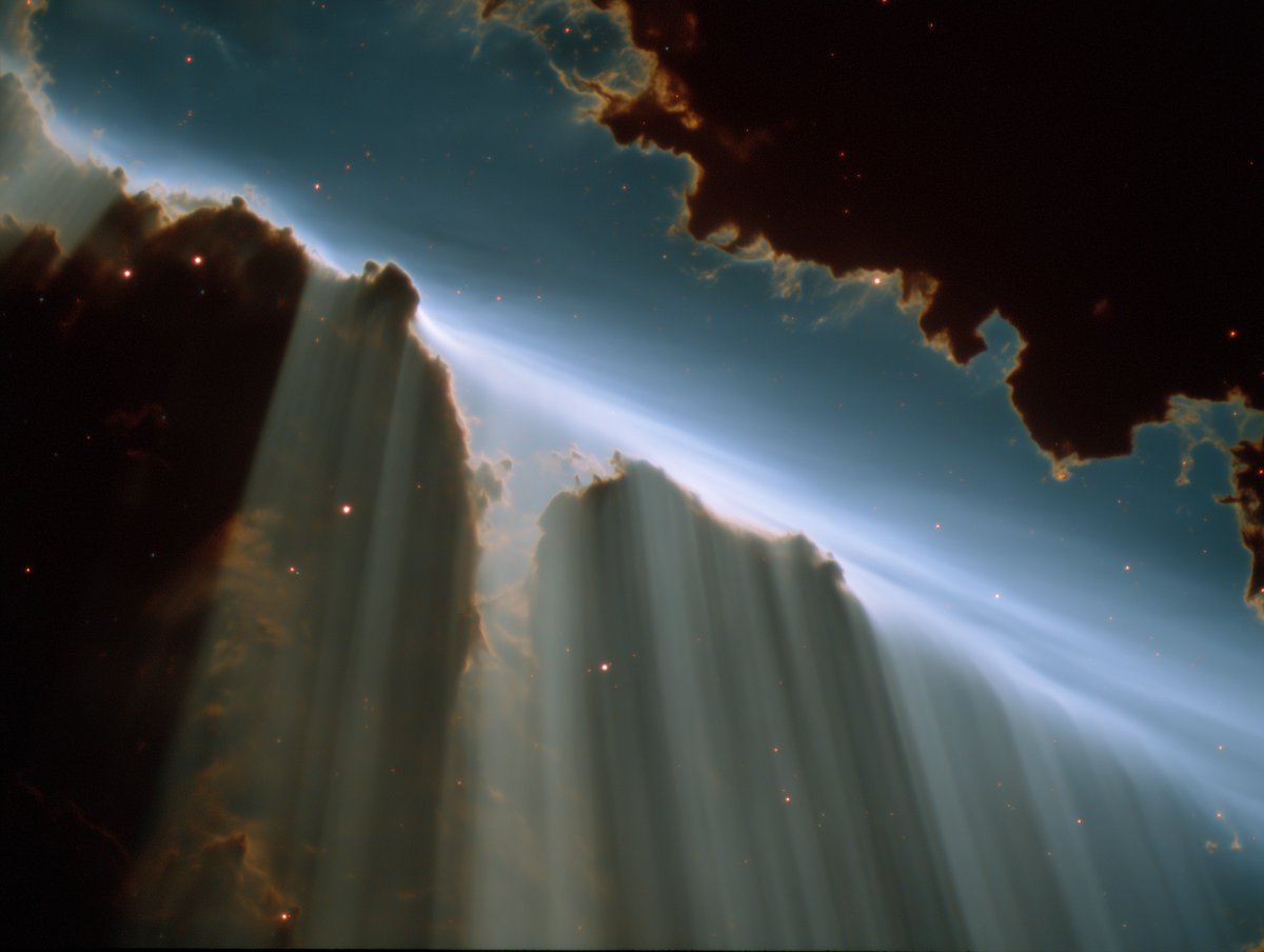 central dogma specialist tweet media