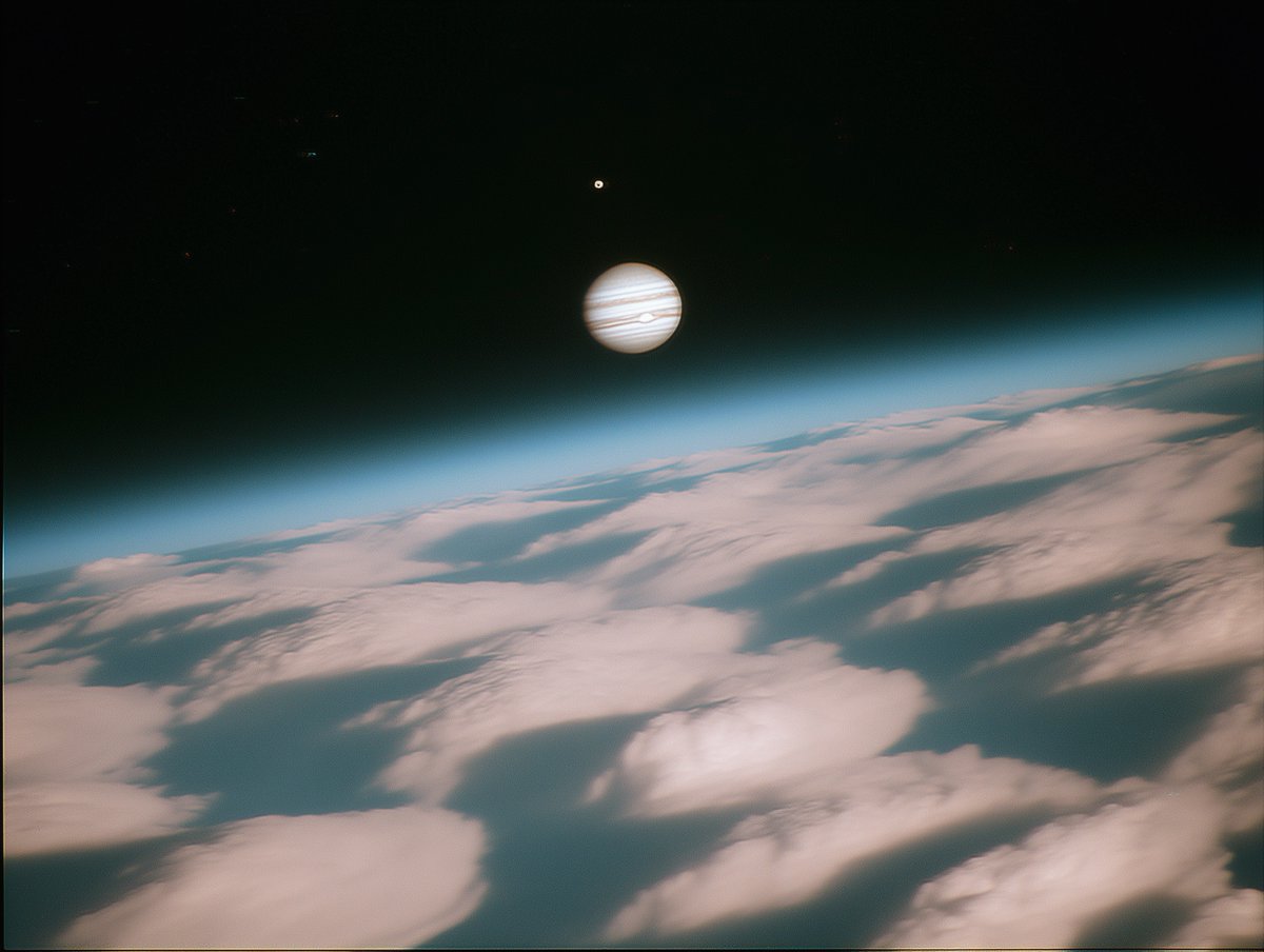 central dogma specialist tweet media