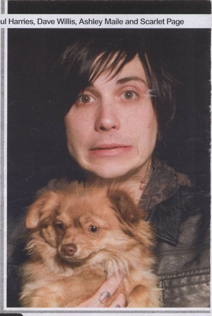 chloe 🐾 tweet media