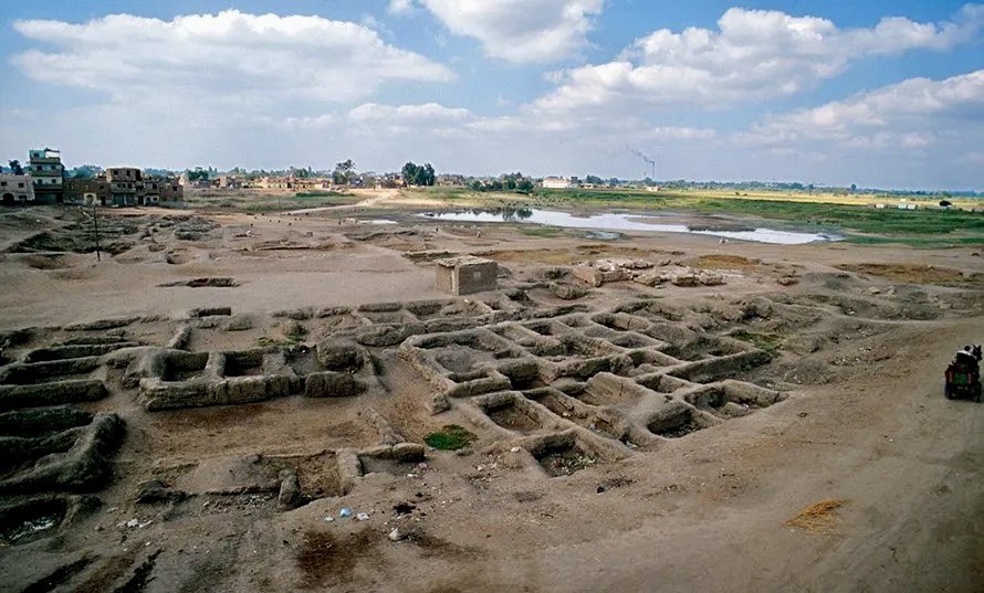 Jimmy Corsetti tweet media