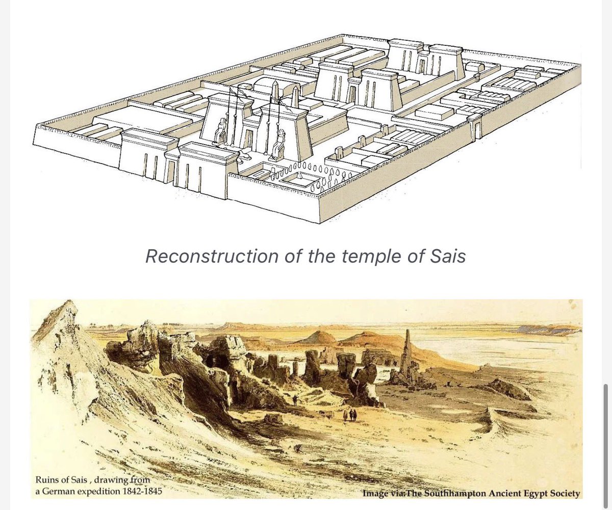 Jimmy Corsetti tweet media