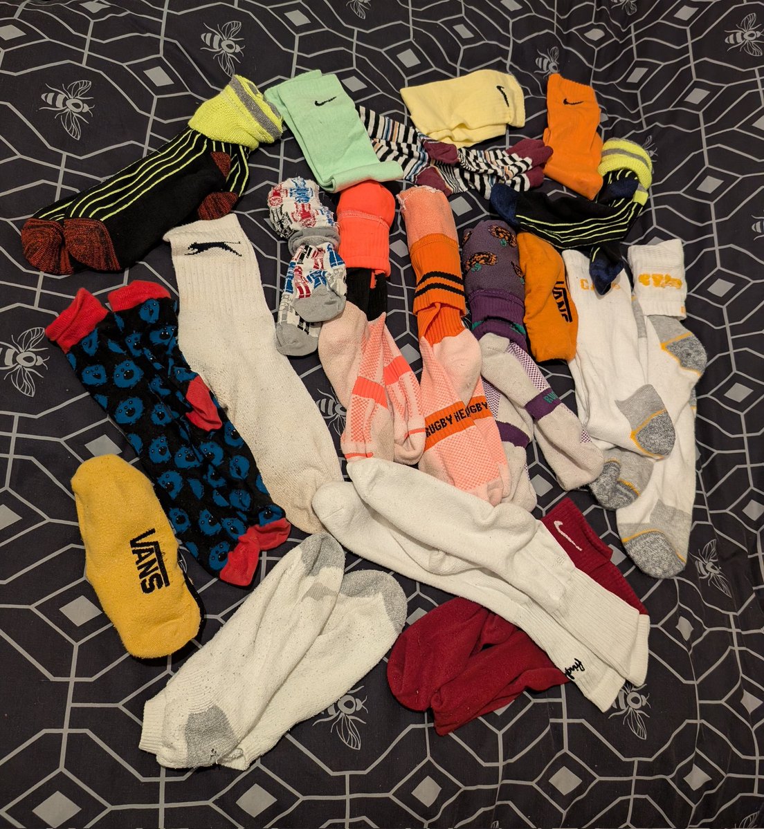 Alex Layfield (alexlayfield.bsky.social) tweet media