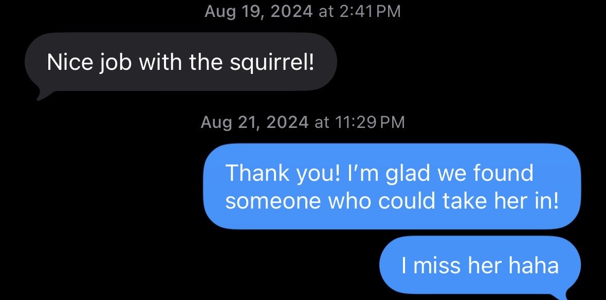 W0rmf0od tweet media