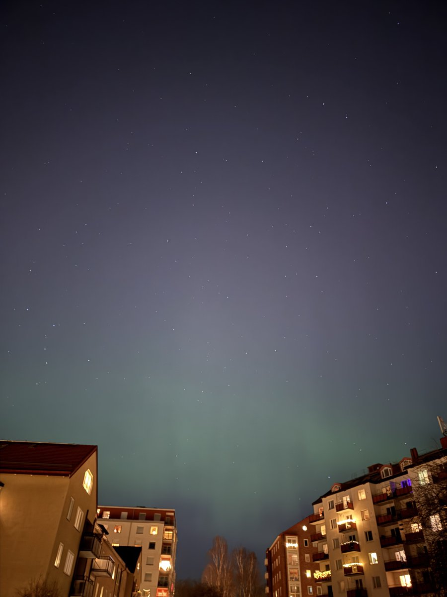 luca frost tweet media