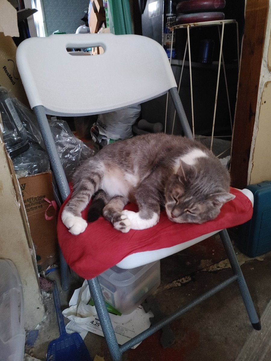 Bobby Mayberry tweet media