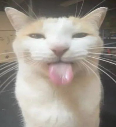 🌙⁷ 🇻🇪 tweet media