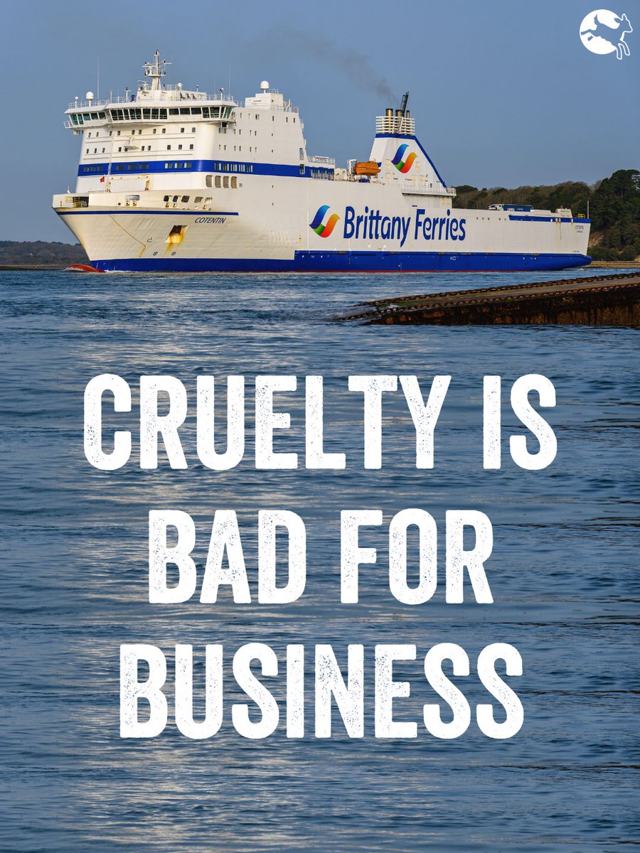 Compassion in World Farming UK tweet media