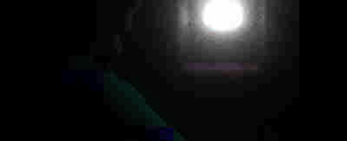 TripleWario tweet media