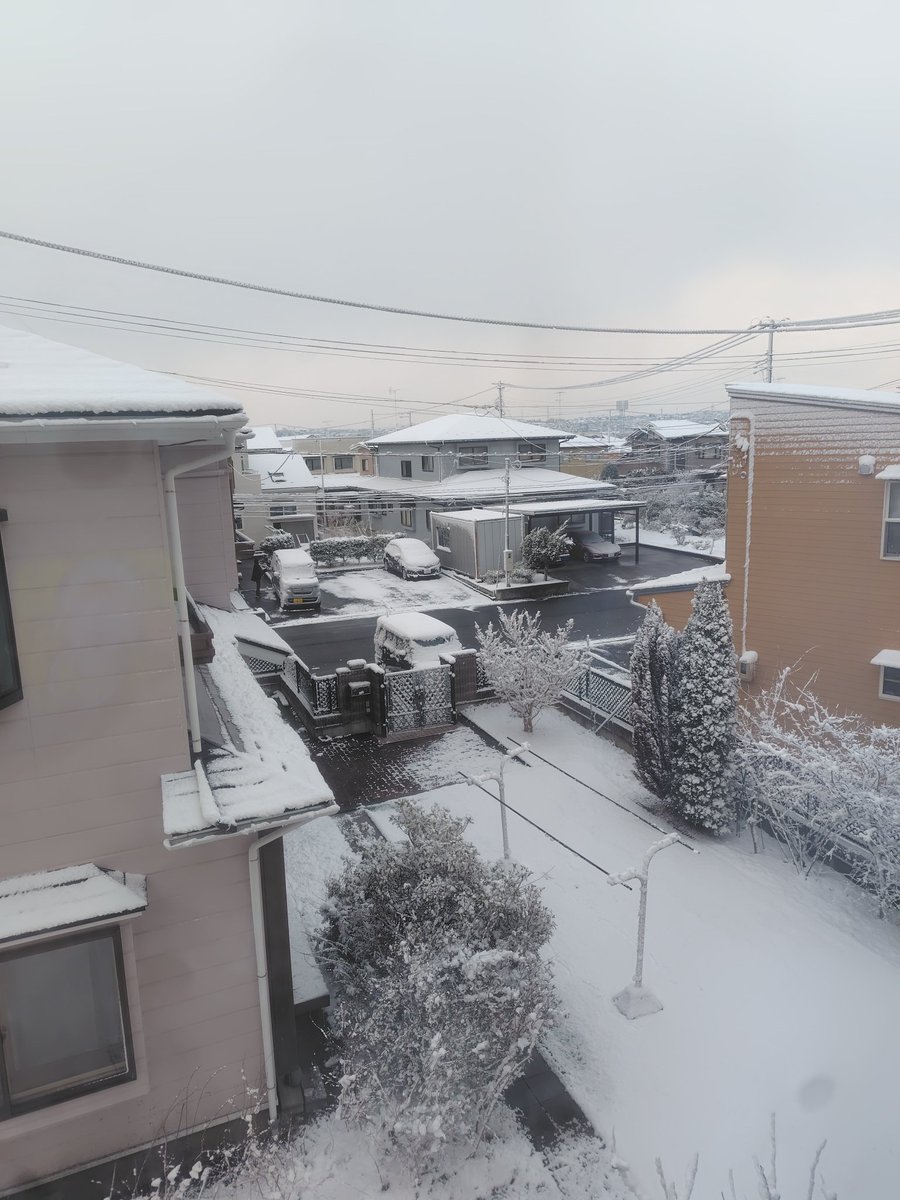 moco姐さん tweet media