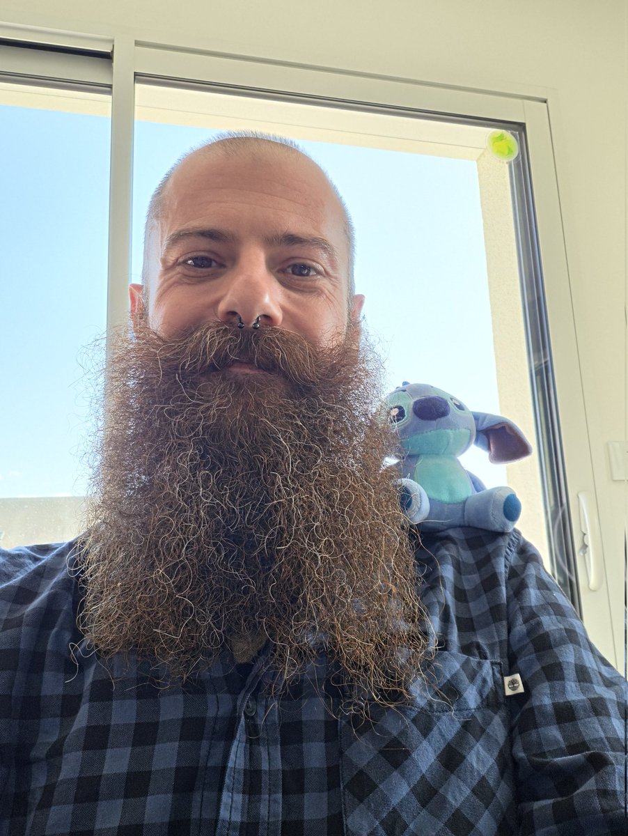 Iorek 🐻 😺 🐼 🎮 🏳️‍🌈 tweet media