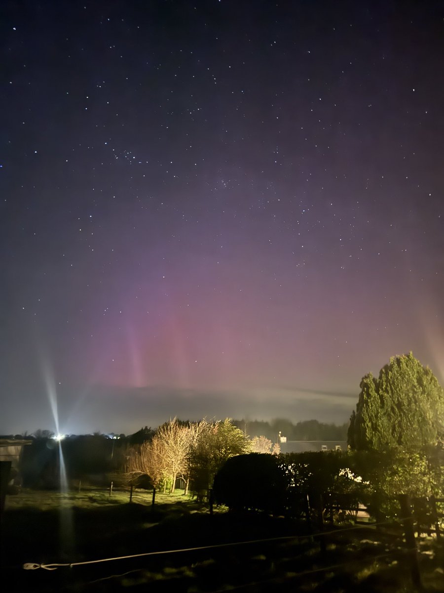 backyard.Astronomy tweet media