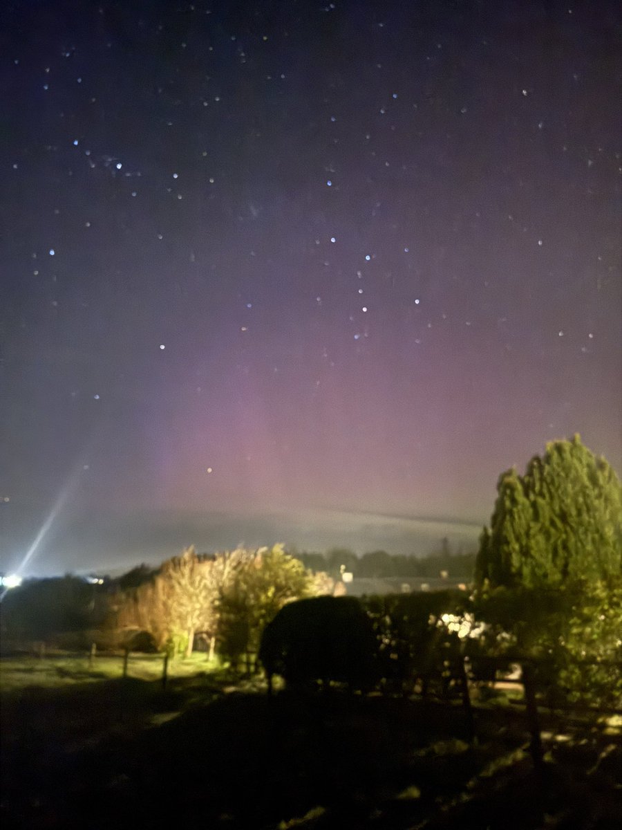 backyard.Astronomy tweet media