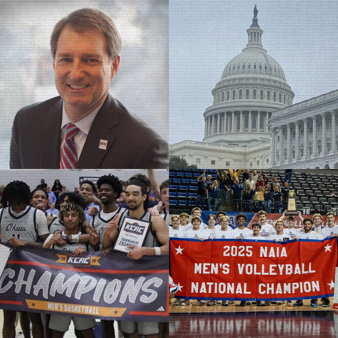 NAIA.ticker tweet media