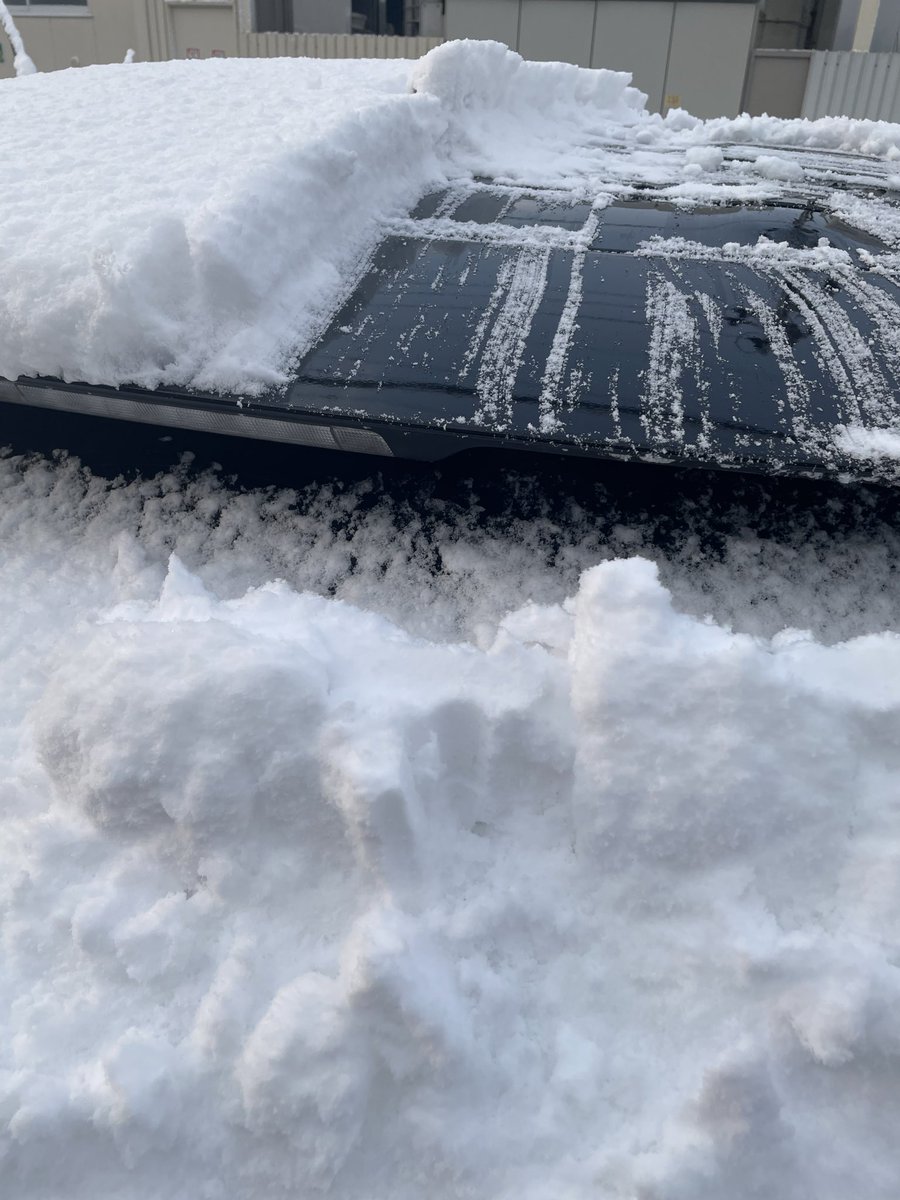 もっちもち tweet media