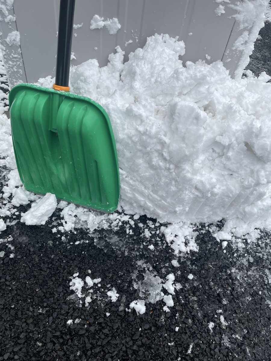 もっちもち tweet media